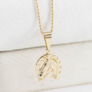 COMBO CADENA MILITAR + DIJE HERRADURA